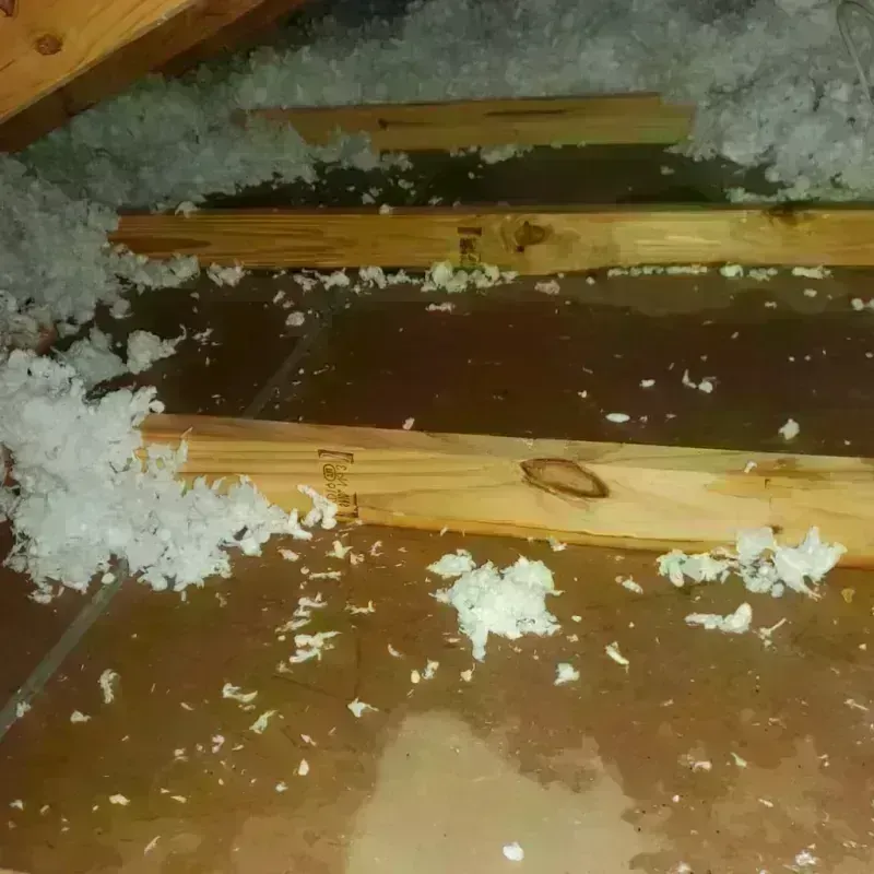 Attic Water Damage in West Carthage, NY